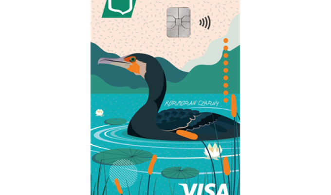 Obrazek dekoracyjny: wizerunek karty Visa Euro